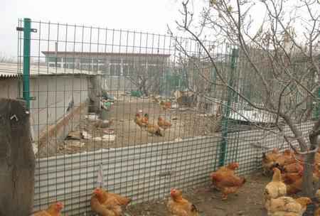 養殖圍欄|養殖圍欄價格|南京護欄網|南京律和護欄網廠